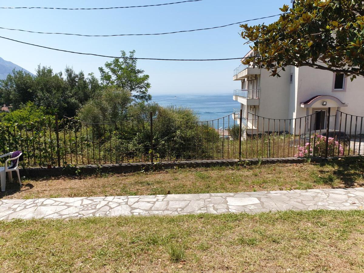 Djokovic Budva